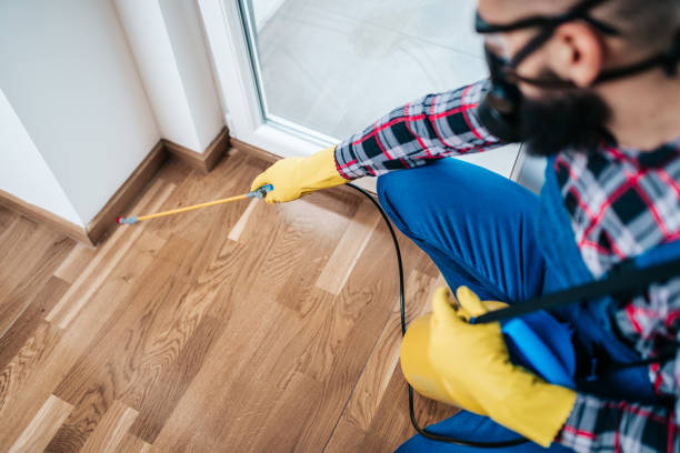 Real Estate Pest Inspections in Ortonville, MI